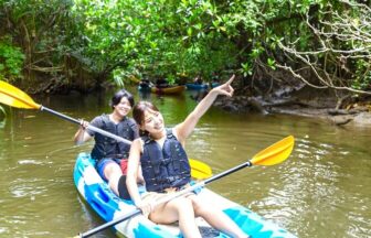 [Iriomote] SUP / Canoe Tour at Mangrove Forest + Snorkeling Tour at Coral Island