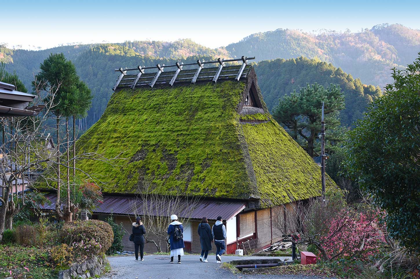 Kyoto Arashiyama and Miyama Full-Day Private Taxi Tour