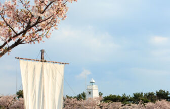 Sakata Hiyoriyama Park Festival dei fiori di ciliegio