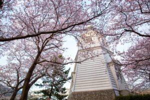 鳥取県　灯台と桜(境台場公園)