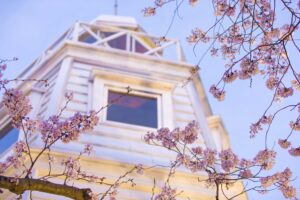 鳥取県　灯台と桜(境台場公園)