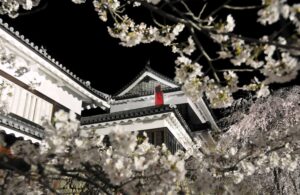 Ueda Castle Thousand Cherry Trees Cooperation: Ueda City Multimedia Information Center