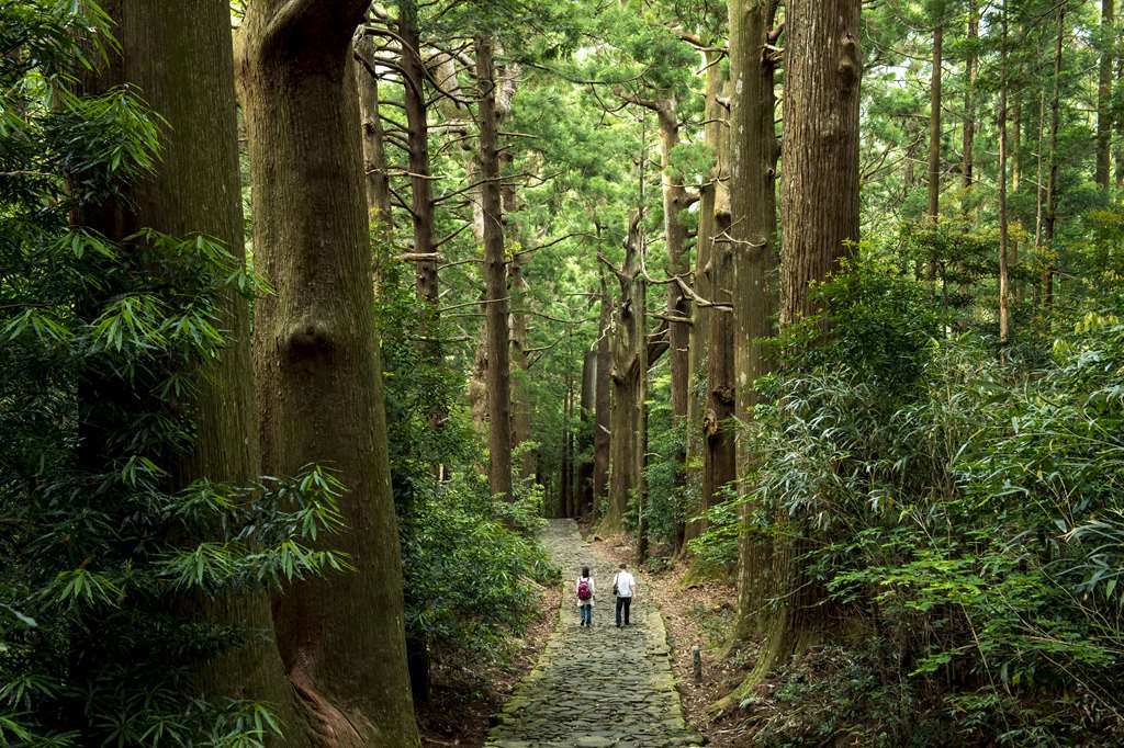 Kumano Kodo, a World Heritage Site, Japan